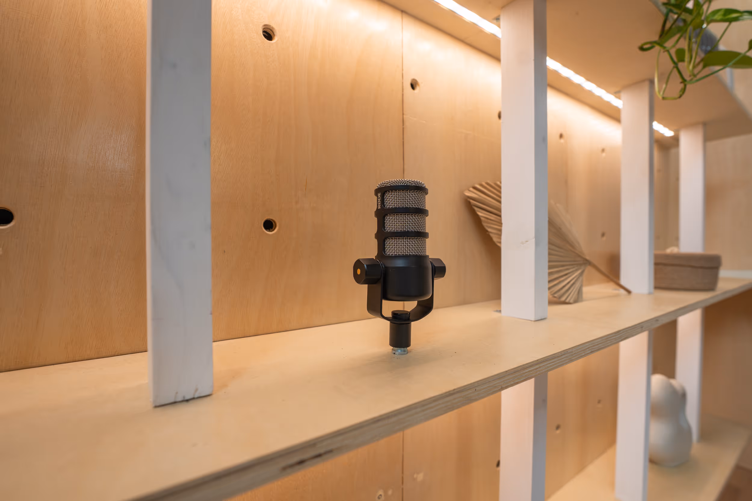 Echipament Studio Microfon Rode